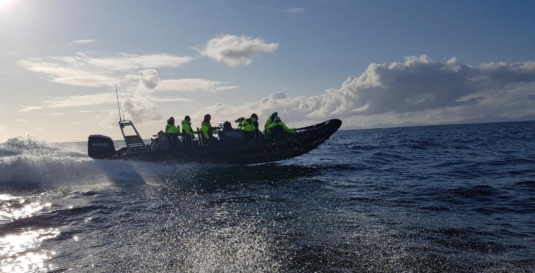 Om Arctic Rib