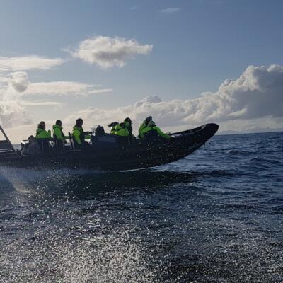 Om Arctic Rib